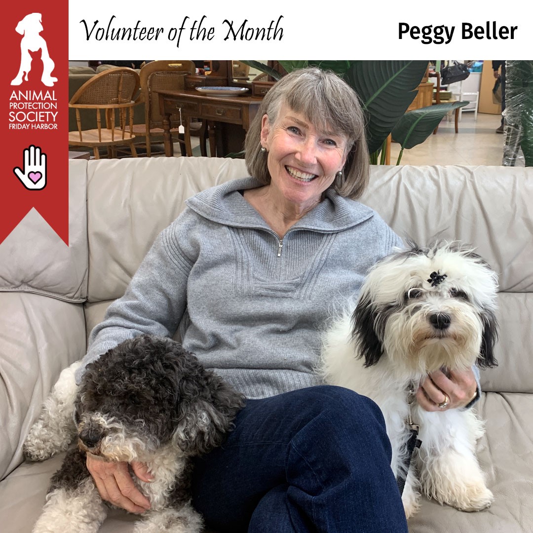 Volunteer of the Month Peggy Beller